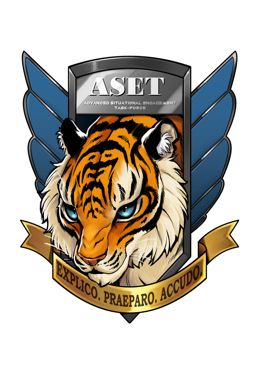 A-SET (ADVANCED SITUATIONAL ENGAGEMENT TASK-FORCE)